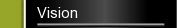 Vision
